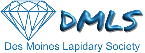 DMLS Logo
